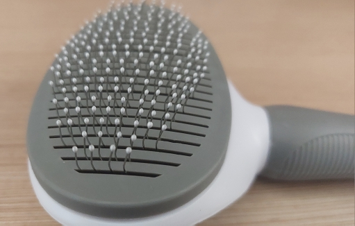 Obrazek #1 z Karolina