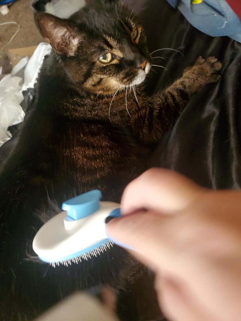 Obrazek #1 z Adrianna