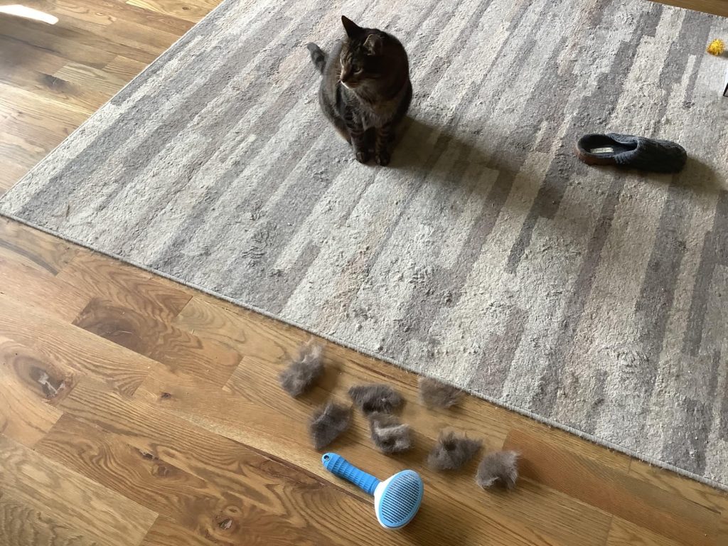 Obrazek #1 z Mariola