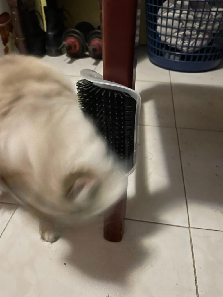 Obrazek #1 z Eugeniusz