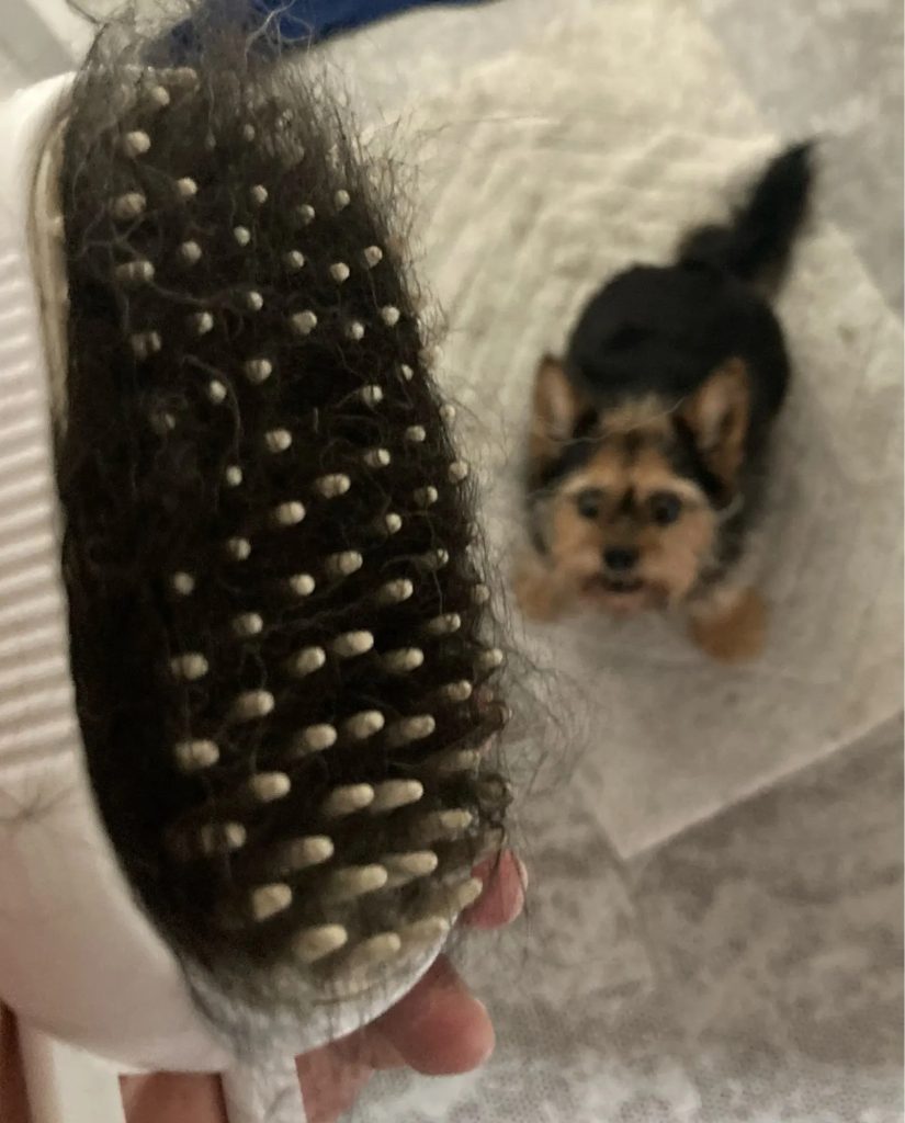 Obrazek #1 z Justyna