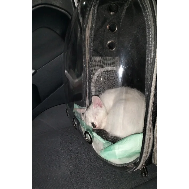 Obrazek #1 z Justyna