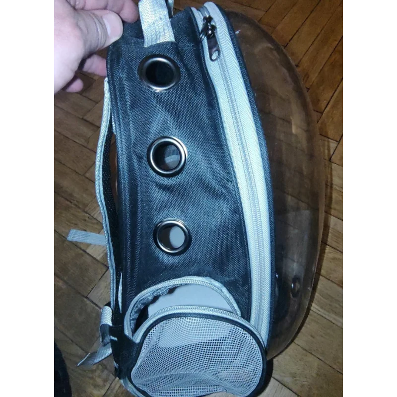 Obrazek #1 z Paulina