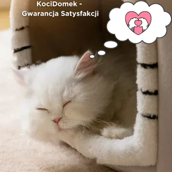 KociDomek – Legowisko