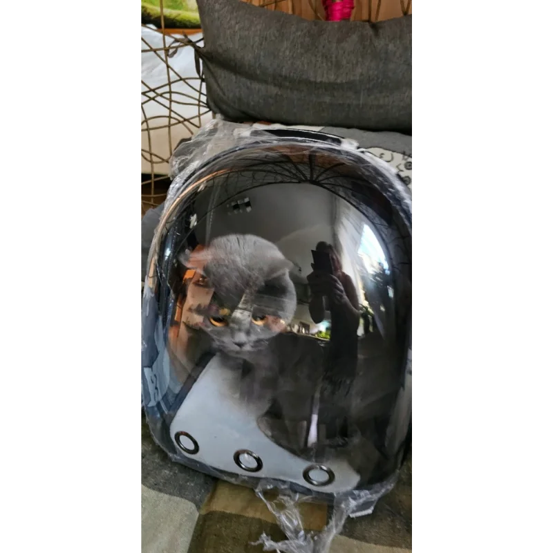 Obrazek #1 z Przemysław