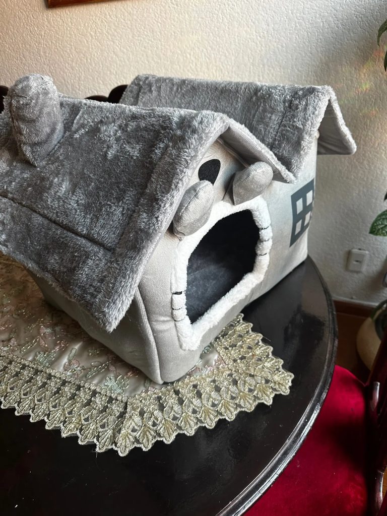 Obrazek #1 z Dominik