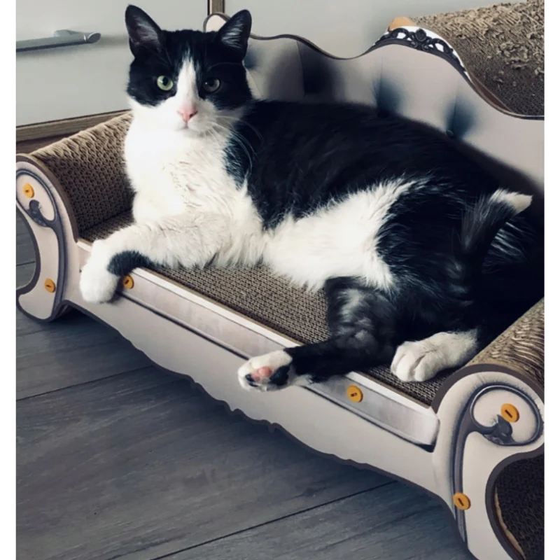 Obrazek #1 z Karolina