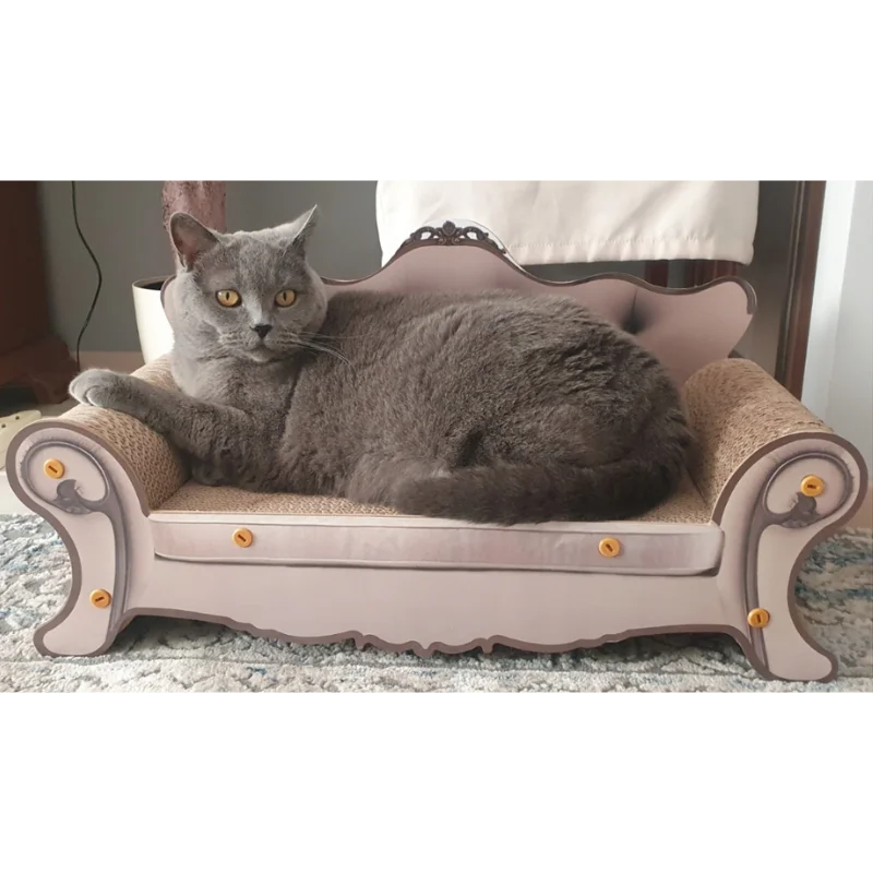 Obrazek #1 z Zuzanna